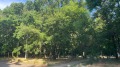 Продава 3-СТАЕН, град София, Изток • 450000 € • 54094859 — Holmes.bg