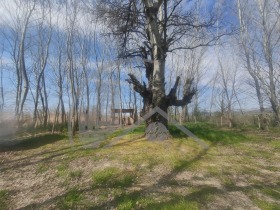 ������� ������ | Imot.bg � ����� ������ 4