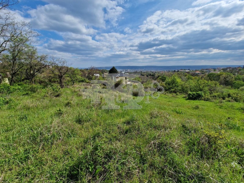 In vendita  Complotto Varna , Izgrev , 2107 mq | 20860590 - Immagine [4]