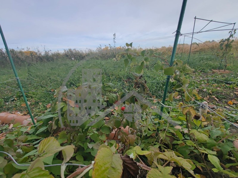 Προς πώληση  Οικόπεδο περιοχή Βάρνα , Ηγνατηεβο , 5639 τ.μ | 80927110 - εικόνα [8]
