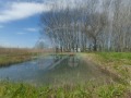 Продава ПАРЦЕЛ, гр. Игнатиево, област Варна, снимка 1