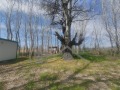 Продава ПАРЦЕЛ, гр. Игнатиево, област Варна, снимка 2