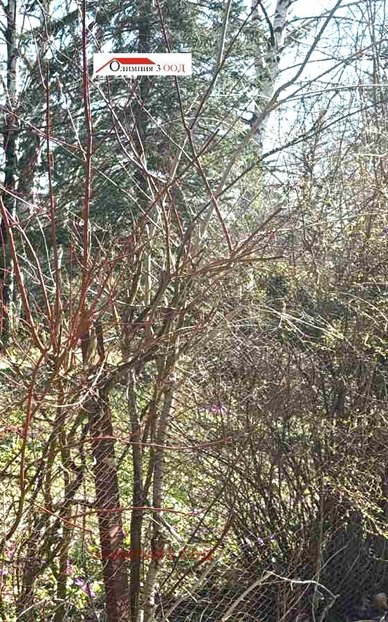 ������� ������ | Imot.bg � ����������� 2