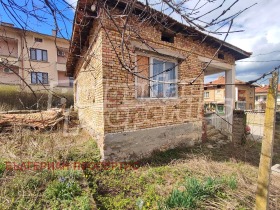 ������ ������� ����