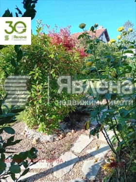 ������� ���� | Imot.bg � ����� ������ 11