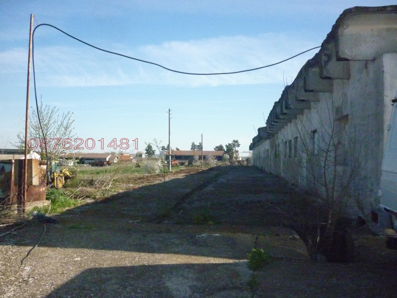 Продава ПРОМ. ПОМЕЩЕНИЕ, с. Дюлево, област Бургас, снимка 8 - Производствени сгради - 53076707