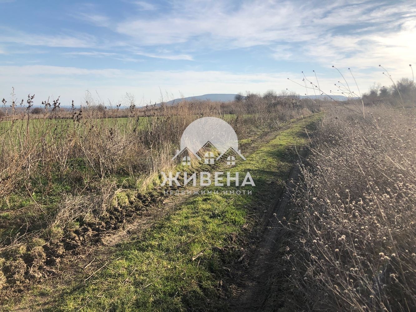 Продава ПАРЦЕЛ, с. Рогачево, област Добрич, снимка 7 - Парцели - 55525828