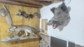 Продава КЪЩА, с. Люляк, област Стара Загора, снимка 14