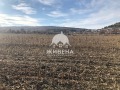 Продава ПАРЦЕЛ, с. Рогачево, област Добрич, снимка 8