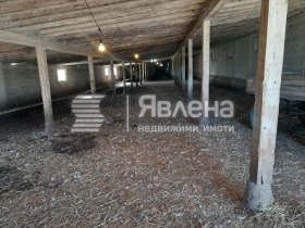 ������� ����. ��������� | Imot.bg � ����� ������ 6