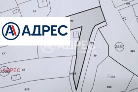 ����� ������� ������,���� �����, �-� �������