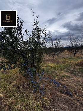 ������� ���������� ���� | Imot.bg � ����� ������ 2