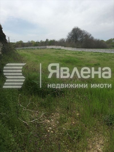 Продава ПРОМ. ПОМЕЩЕНИЕ, с. Чоба, област Пловдив, снимка 4 - Производствени сгради - 54129901