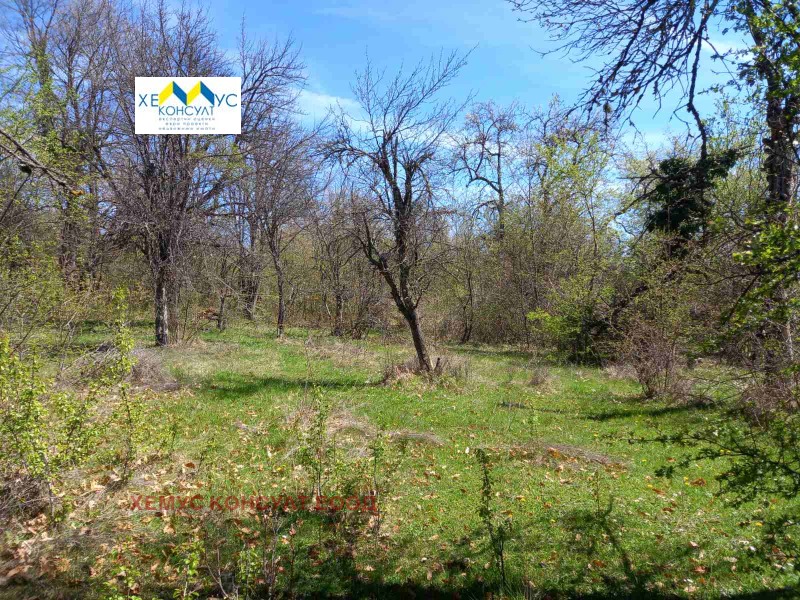 Продава  Парцел област Ловеч , с. Патрешко , 2141 кв.м | 71050500 - изображение [2]
