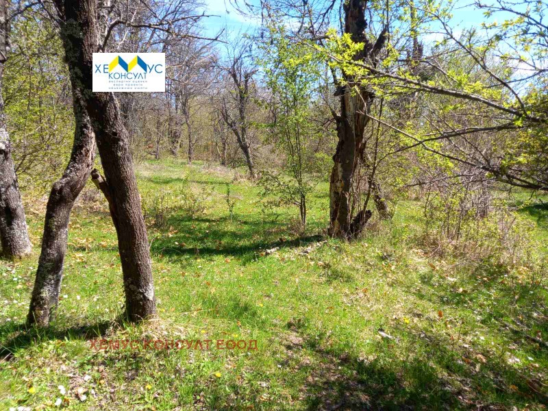 Продава  Парцел област Ловеч , с. Патрешко , 2141 кв.м | 71050500 - изображение [6]
