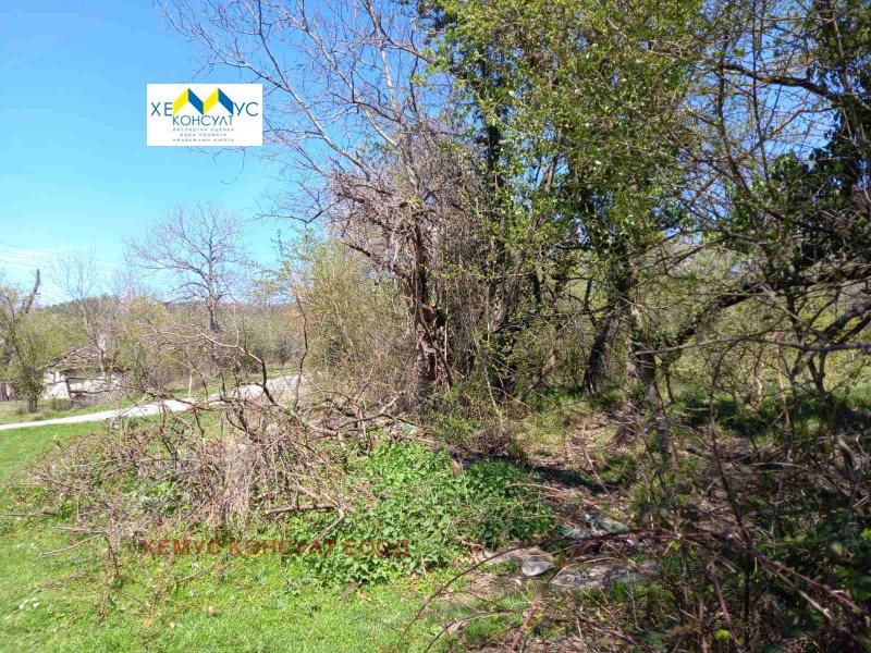 Продава  Парцел област Ловеч , с. Патрешко , 2141 кв.м | 71050500 - изображение [3]
