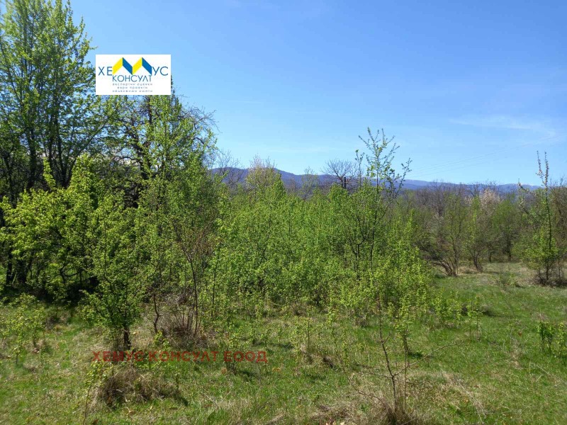 Продава  Парцел, област Ловеч, с. Патрешко • 45 000 лв. • ID 16445999 — holmes.bg - [1] 