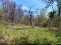 Продава ПАРЦЕЛ, с. Патрешко, област Ловеч, снимка 2