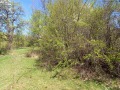 Продава ПАРЦЕЛ, област Ловеч, с. Патрешко • 45000 лв. • 16445999 — Holmes.bg