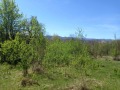 Продава ПАРЦЕЛ, област Ловеч, с. Патрешко • 45000 лв. • 16445999 — Holmes.bg