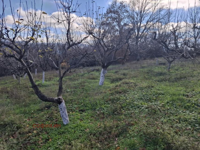 Продава ПАРЦЕЛ, с. Долна Козница, област Кюстендил, снимка 12 - Парцели - 52710270