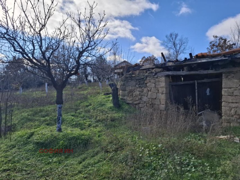 Продава ПАРЦЕЛ, с. Долна Козница, област Кюстендил, снимка 7 - Парцели - 52710270