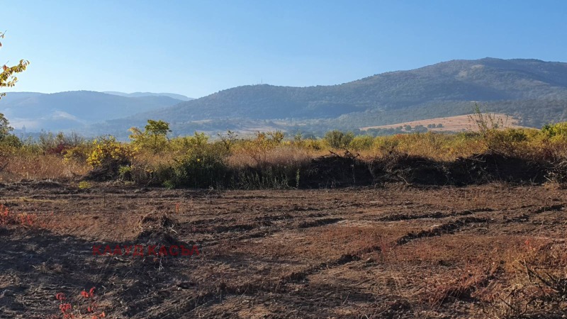 In vendita  Complotto regione Plovdiv , Markovo , 700 mq | 30400909 - Immagine [7]