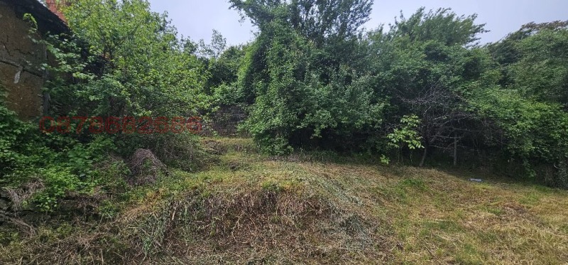 Zu verkaufen  Handlung region Wraza , Ljutibrod , 739 qm | 27537414 - Bild [7]
