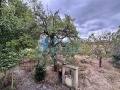 Продава КЪЩА, област Велико Търново, с. Ресен • 61350 € • 93527804 — Holmes.bg