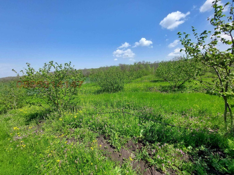 Продава ЗЕМЕДЕЛСКА ЗЕМЯ в област Бургас, с. Драчево - 27 дка / 39 000 € » 76 277.37 лв.