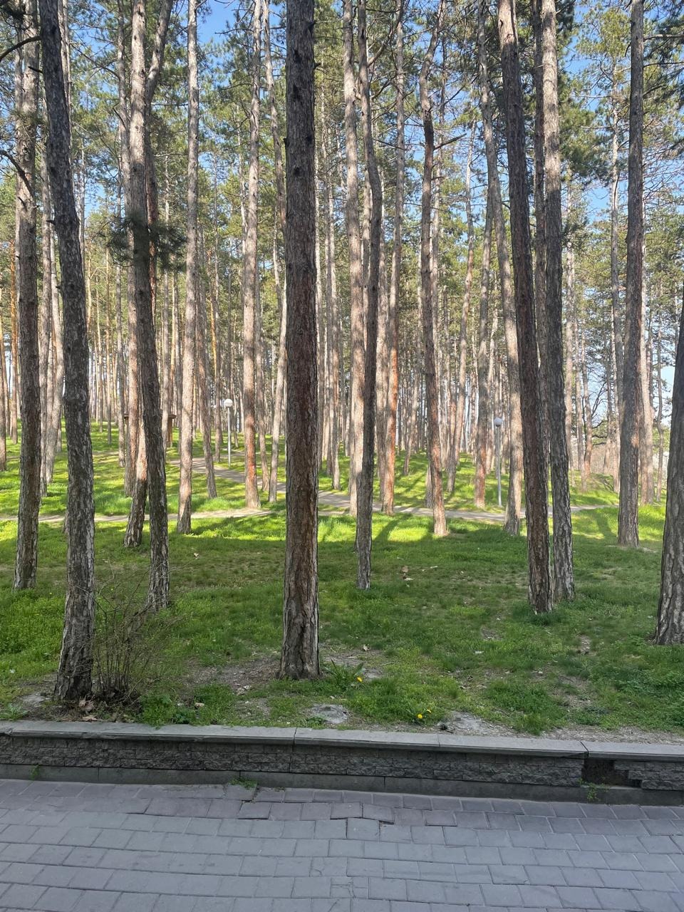 ������� 3-����� | Imot.bg � ����������� 17