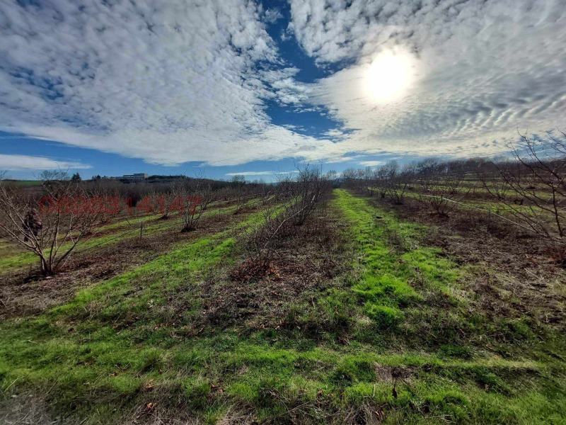 Продава ЗЕМЕДЕЛСКА ЗЕМЯ, с. Драчево, област Бургас, снимка 5 - Земеделска земя - 52785778