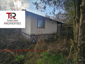 ����� ������� ����,�. ��������, ������ ������