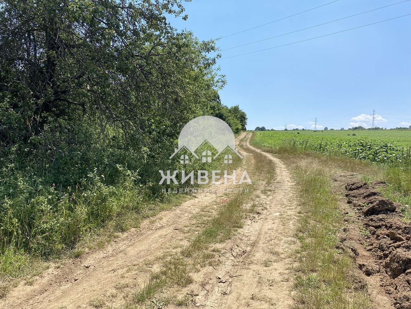 ������� ������ | Imot.bg � ����������� 3