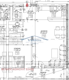 ����� ������� 2-�����,���� �����, ����������� ������