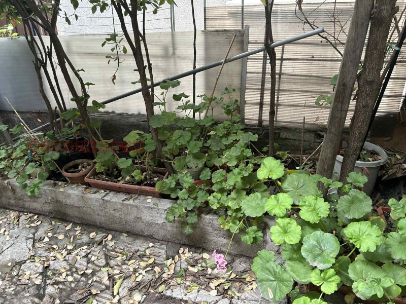 For Sale  House Varna , Tsentar , 62 sq.m | 62515131 - image [3]