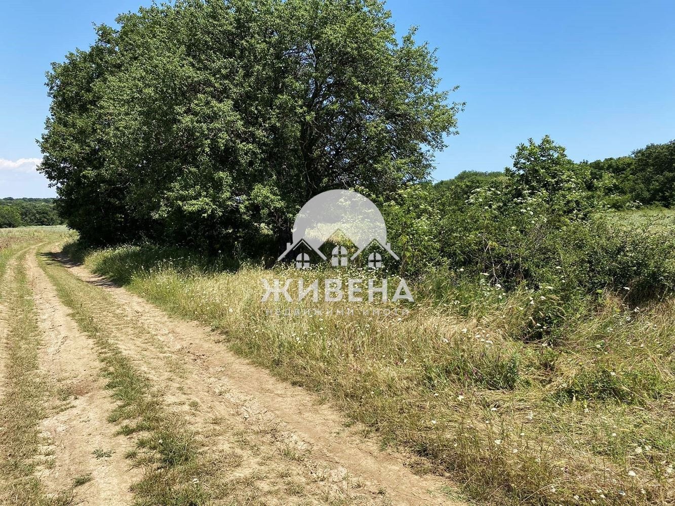 Продава ПАРЦЕЛ, гр. Варна, м-т Перчемлията, снимка 2 - Парцели - 46259568