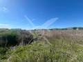 Продава ПАРЦЕЛ, област София, с. Голяновци • 55000 € • 50158719 — Holmes.bg