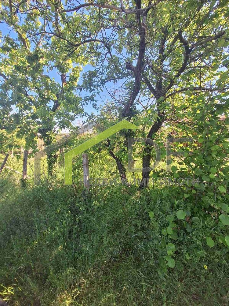 ������� ������ | Imot.bg � ����������� 8