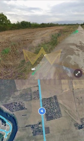 ������ ������� ������