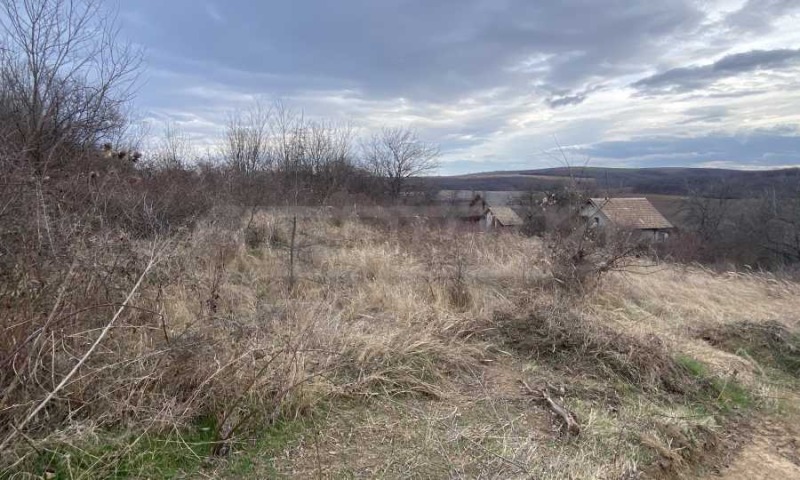 Na prodej  Spiknutí oblast Vidin , Tijanovci , 4400 m2 | 19323854 - obraz [2]