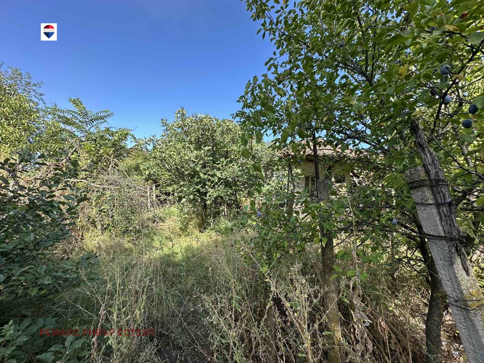 Продава ПАРЦЕЛ, с. Тетово, област Русе, снимка 2 - Парцели - 56368096