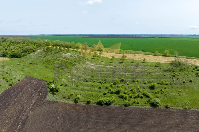 Te koop  Land regio Dobritsj , Telerig , 20 dka | 39694208