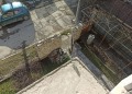 Продава КЪЩА, гр. Велинград, област Пазарджик, снимка 16