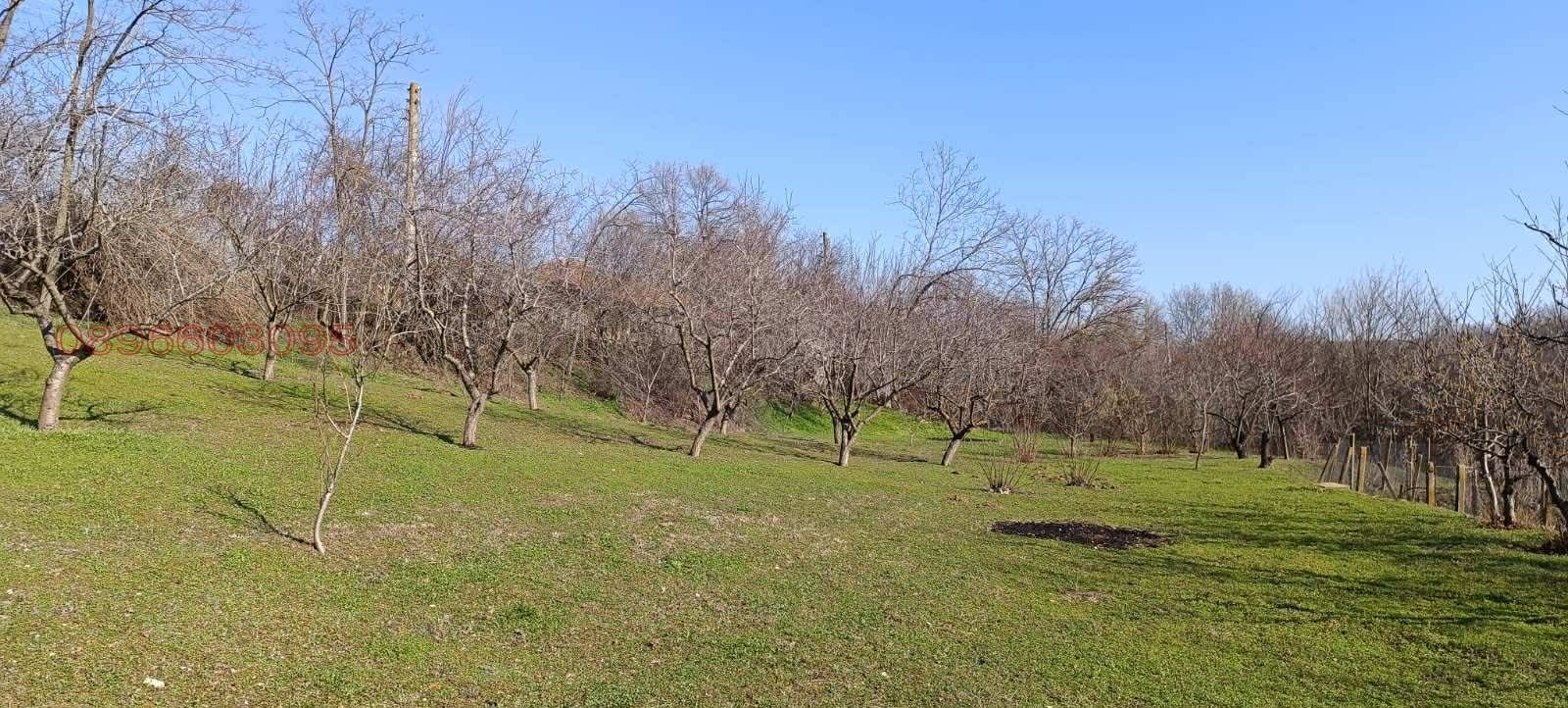 ������� ������ | Imot.bg � ����������� 5