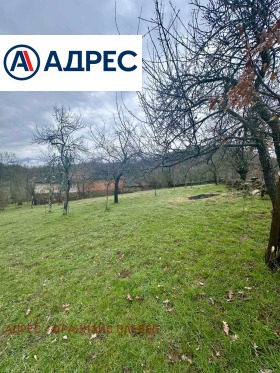 ����� ������� ����,��. �������, ������ �����