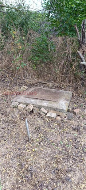 ������� ������ | Imot.bg � ����� ������ 8