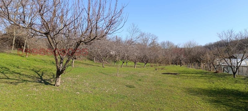 Продава ПАРЦЕЛ, с. Калипетрово, област Силистра, снимка 3 - Парцели - 53505140