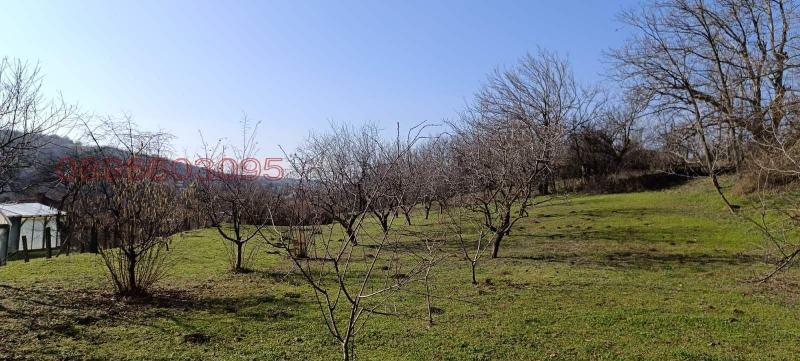 Продава ПАРЦЕЛ, с. Калипетрово, област Силистра, снимка 2 - Парцели - 53505140