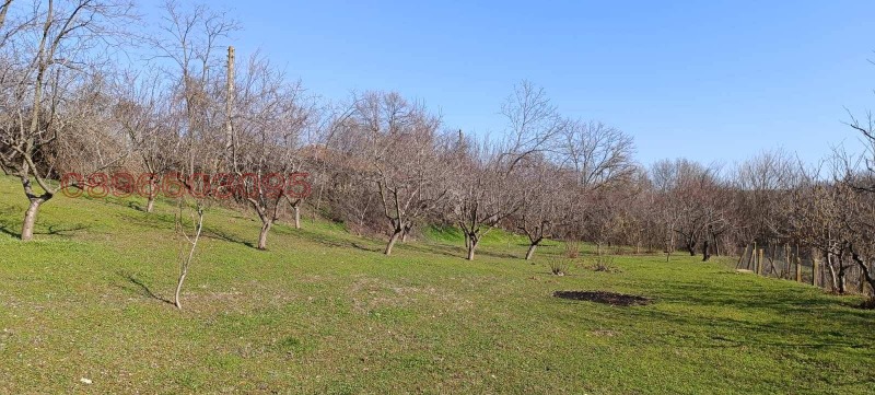 Продава ПАРЦЕЛ, с. Калипетрово, област Силистра, снимка 4 - Парцели - 53505140